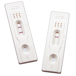 True® 20 Pregnancy Test