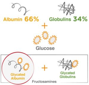 Glycated-Albumin-formula