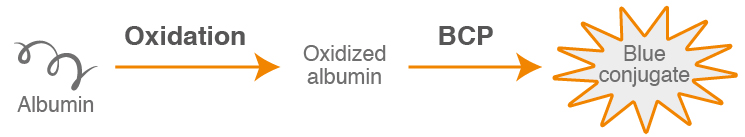 Glycated Albumin principle