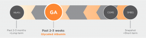 Lucica-Glycated-Albumin-L-glycemic-control-marker